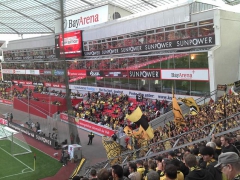 Leverkusen 2011-2012 (2).jpg