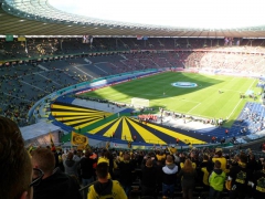 Berlin Pokalfinale 2011-2012 (33).jpg