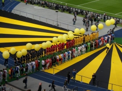 Berlin Pokalfinale 2011-2012 (37).jpg