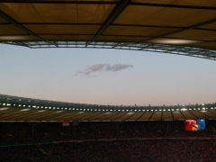 Berlin Pokalfinale 2011-2012 (45).jpg