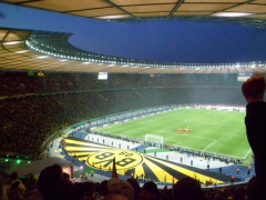 Berlin Pokalfinale 2011-2012 (48).jpg
