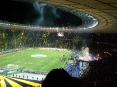Berlin Pokalfinale 2011-2012 (59).jpg